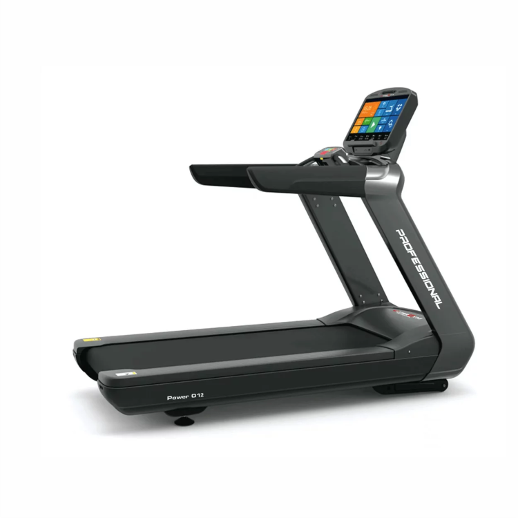 Профессиональная беговая дорожка UltraGym Power 012
